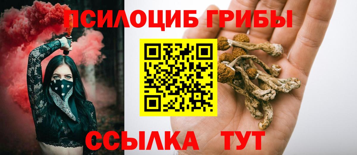 Псилоцибиновые грибы Psilocybine cubensis Сокол