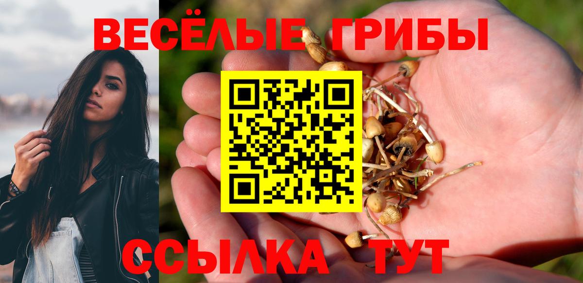 Псилоцибиновые грибы Cubensis  Вход с VPN  Сокол 